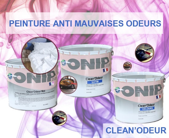 peinture-anti-mauvaises-odeurs