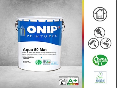 peinture de finition aqua 50 mat